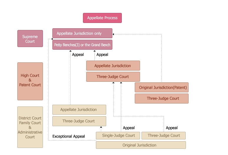 Diagram of the appellate process