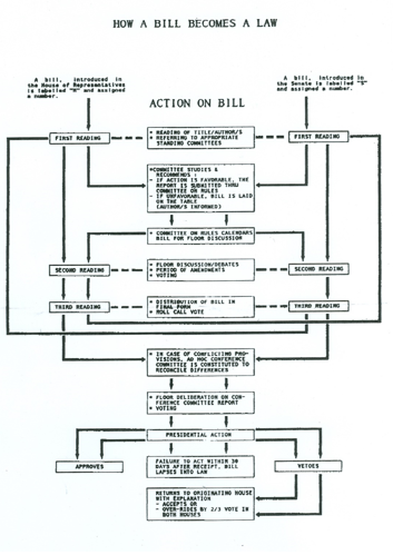 scan